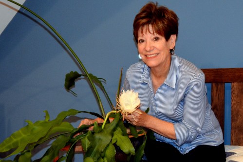 db cactus 9-4-2016 9-18-43 PM