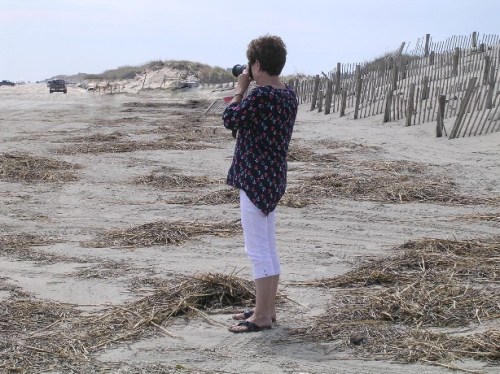 db-taking-pic-9-11-2016-1-00-00-am