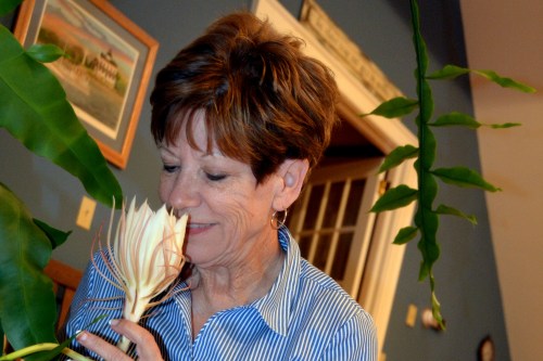 db with cactus 9-4-2016 8-58-43 PM