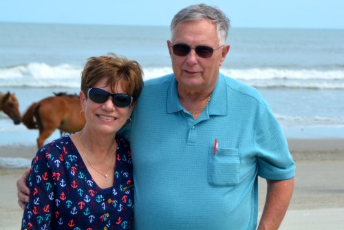 dbjr-horses-9-8-2016-2-04-12-pm