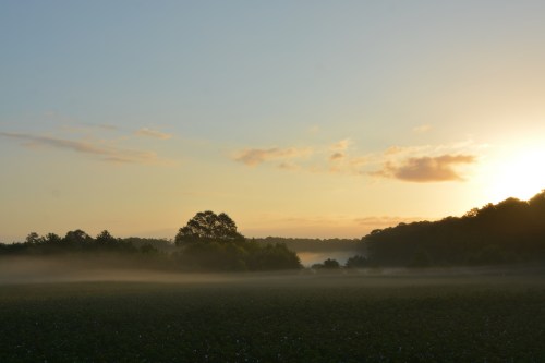 fog2-9-17-2016-7-14-50-am