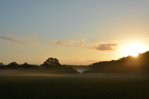 fog3-9-17-2016-7-14-52-am