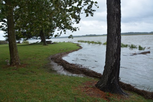 high tide 9-3-2016 1-11-07 PM