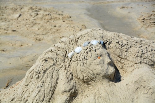 mermaid face 9-1-2016 11-28-26 AM