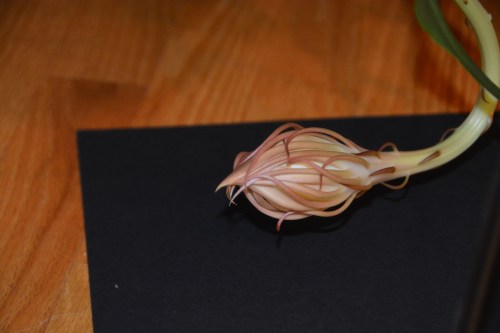 sept 3 9-3-2016 8-48-53 PM