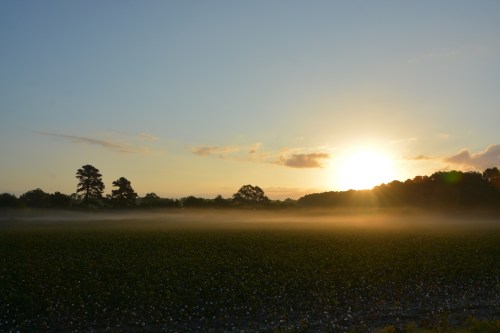 sunrise-and-fog-9-17-2016-7-15-01-am