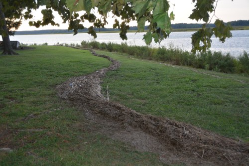 tideline trash 9-4-2016 6-58-38 PM