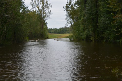bridge-railings-10-9-2016-11-14-32-am