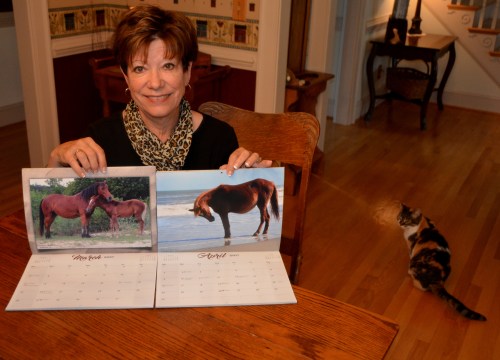 db-and-calendars-10-2-2016-5-11-17-pm