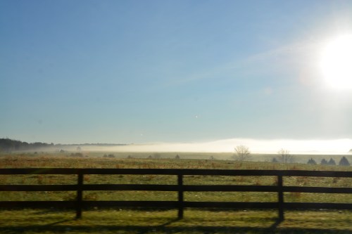 fog-10-28-2016-8-34-48-am