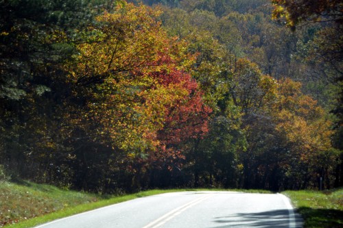 foliage-10-28-2016-3-00-00-pm