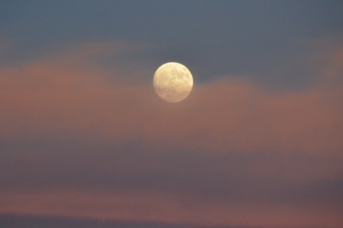 moon-rising2-10-14-2016-6-31-30-pm