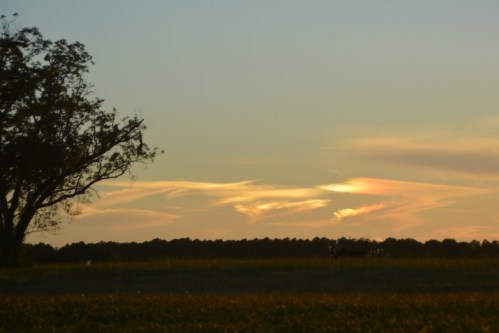 second-sundog-10-11-2016-6-19-28-pm