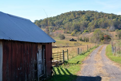 shed-and-barn-10-28-2016-12-01-55-pm