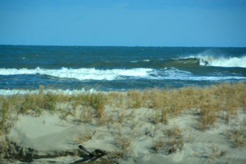 dune-and-ocean-11-10-2016-2-41-24-pm