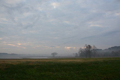 fog-and-sun-11-25-2016-8-34-37-am