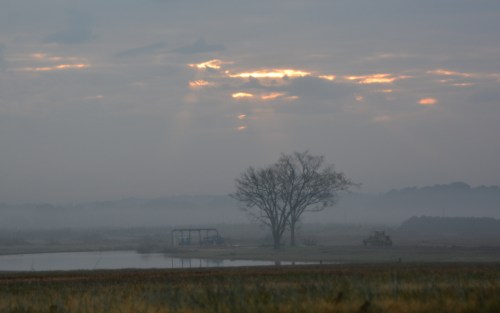 foggy-sunrise-11-25-2016-8-35-13-am