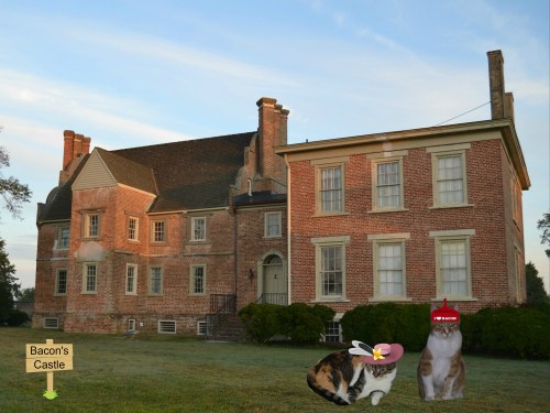 final-sundae-and-sampizap-com14805499380721