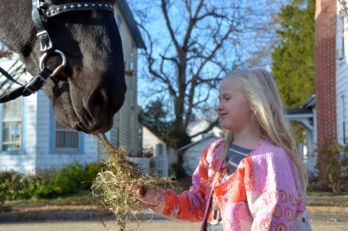 marion-feeding-hay-to-casey-12-3-2016-4-00-55-pm