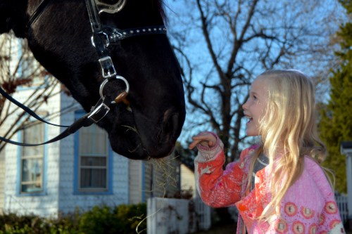 marion-precious-12-3-2016-4-01-51-pm