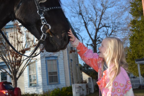 marion-rubbing-caseys-nose-12-3-2016-4-01-52-pm