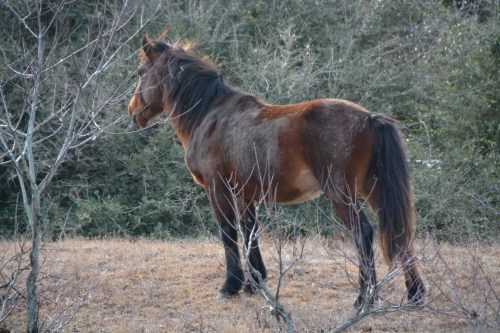 after-the-roll-12-31-2016-1-31-41-pm