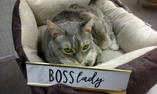 boss-lady1