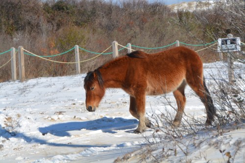 cant-read-1-8-2017-1-41-44-pm