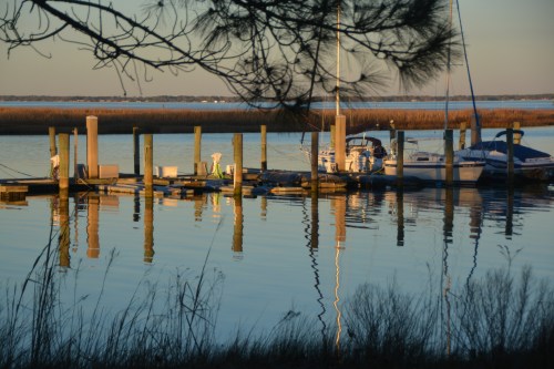 marina1-1-25-2017-5-06-40-pm