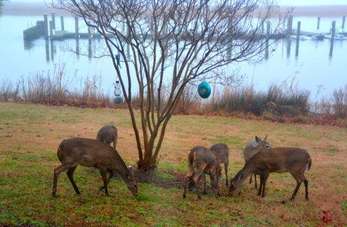 six-1-22-2017-7-33-33-am