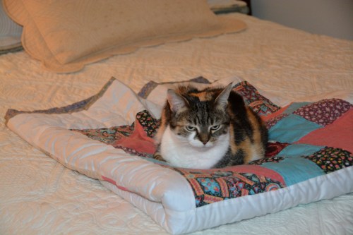 sundae2-1-15-2017-6-48-02-pm