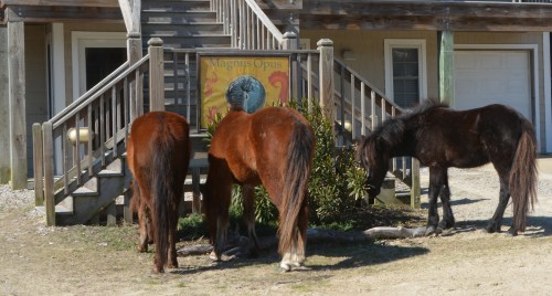 lunch-2-26-2017-11-08-30-am