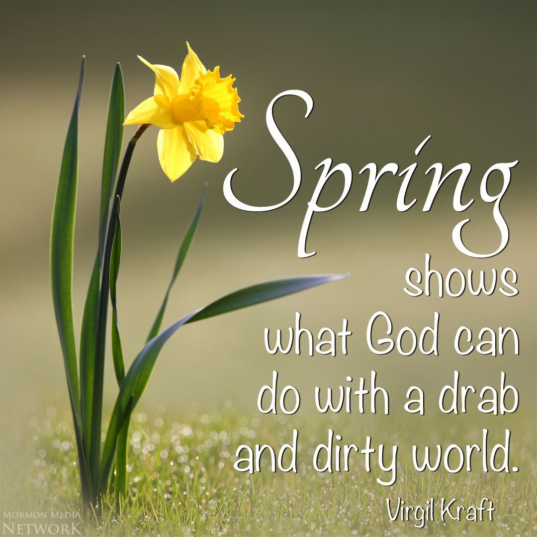 Monday April Spring Spark on Monday: Spring | these days of mine